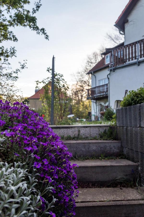 Gaestehaus Bechtloff Meißen Exteriér fotografie